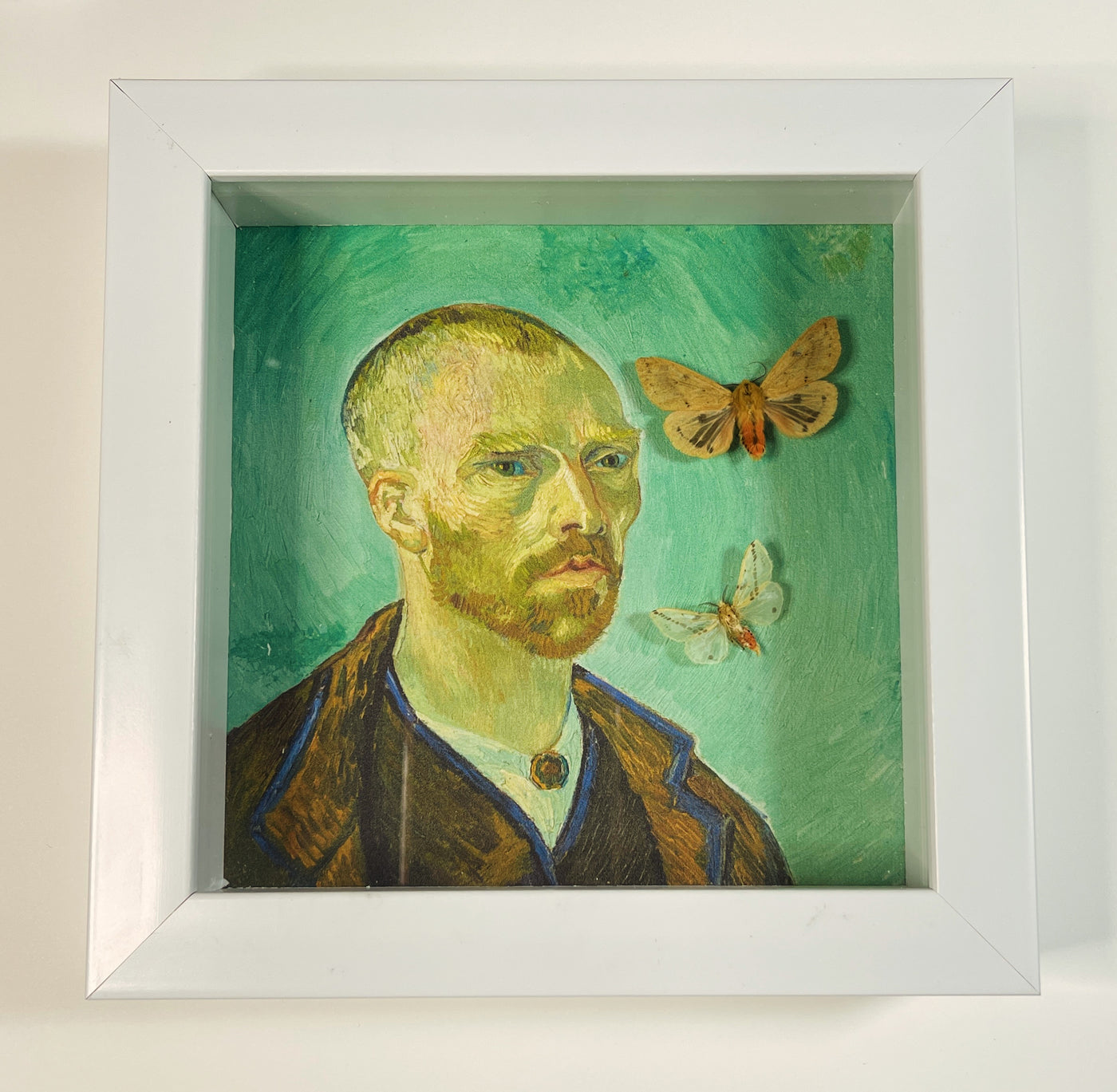 Vincent Van Gogh's "Self Portrait Dedicated to Paul Gauguin" with two real Tiger Moths