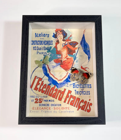 Jules Chéret's "L'Etendard Français (Quai d'Orsay Bicycle Shop)" with real Callicore hystaspes Butterfly and unknown translucent blue butterlfy