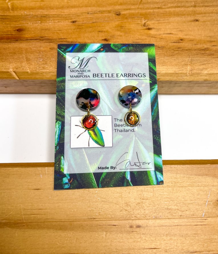 Acrylic and Beetle Earrings - Choose Style