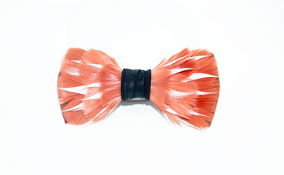 Feather Bow Tie 22 - Dyed Turkey and Goose