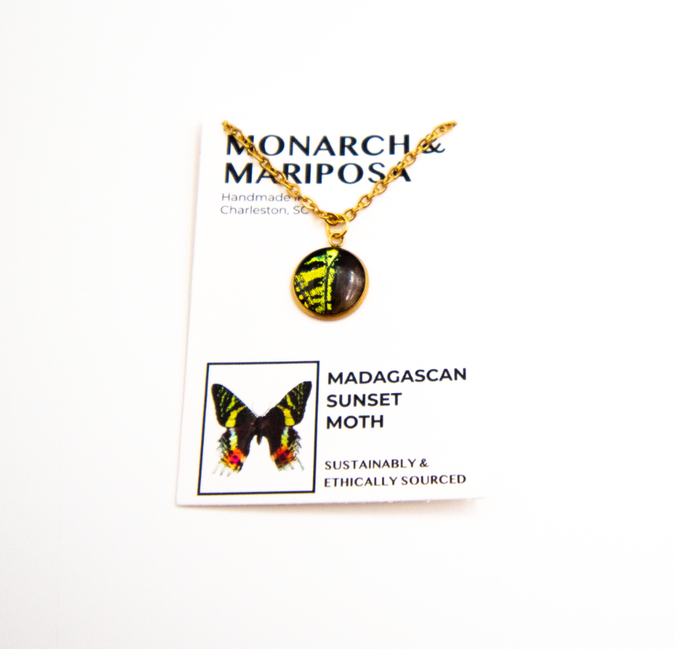 Butterfly Pendant Necklace - Choose Your Style