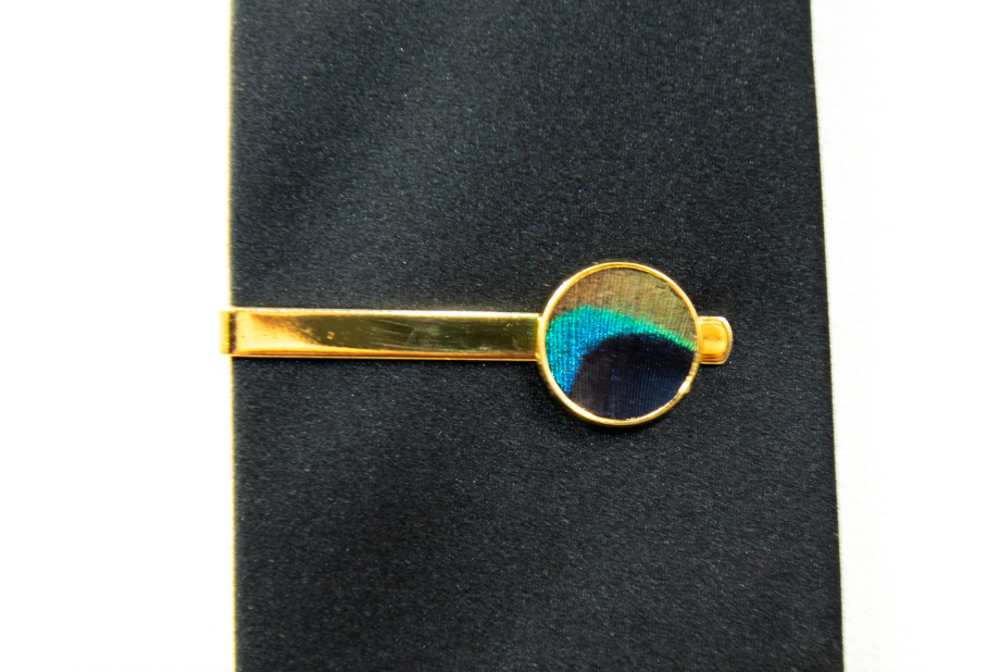 Feather Tie Clip - Peacock Eye with Gold Bar