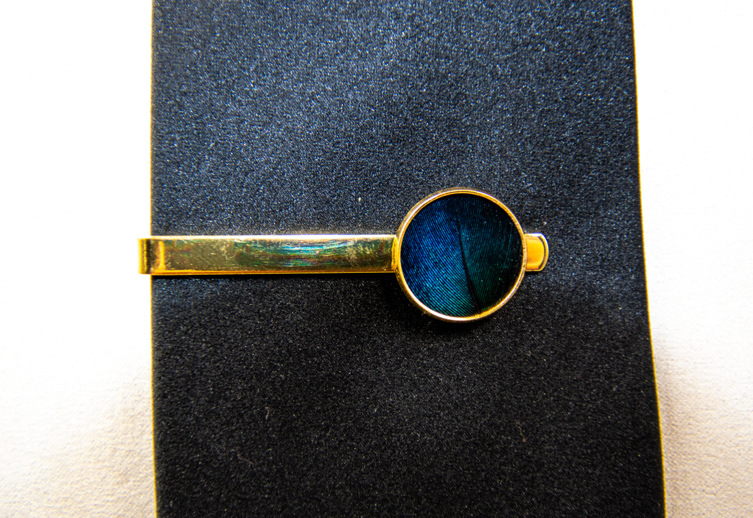 Feather Tie Clip - Peacock with Gold Bar