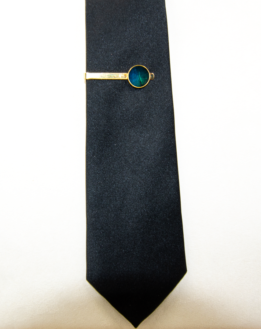 Feather Tie Clip - Peacock with Gold Bar