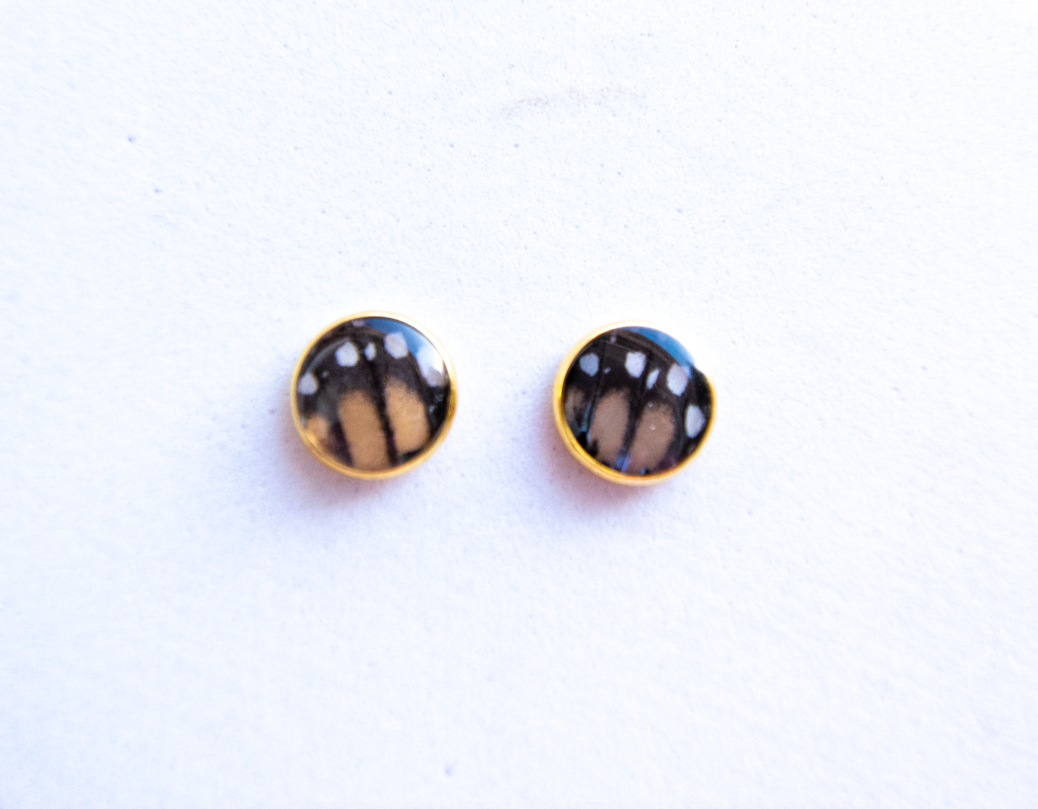 Butterfly Stud Earrings - Choose Your Style