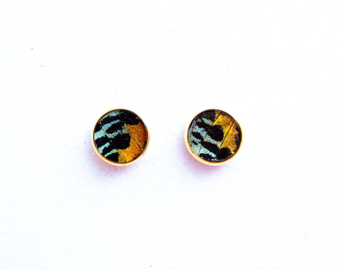 Butterfly Stud Earrings - Choose Your Style