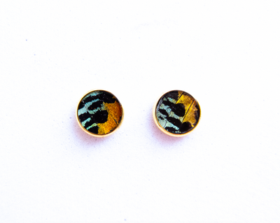 Butterfly Stud Earrings - Choose Your Style