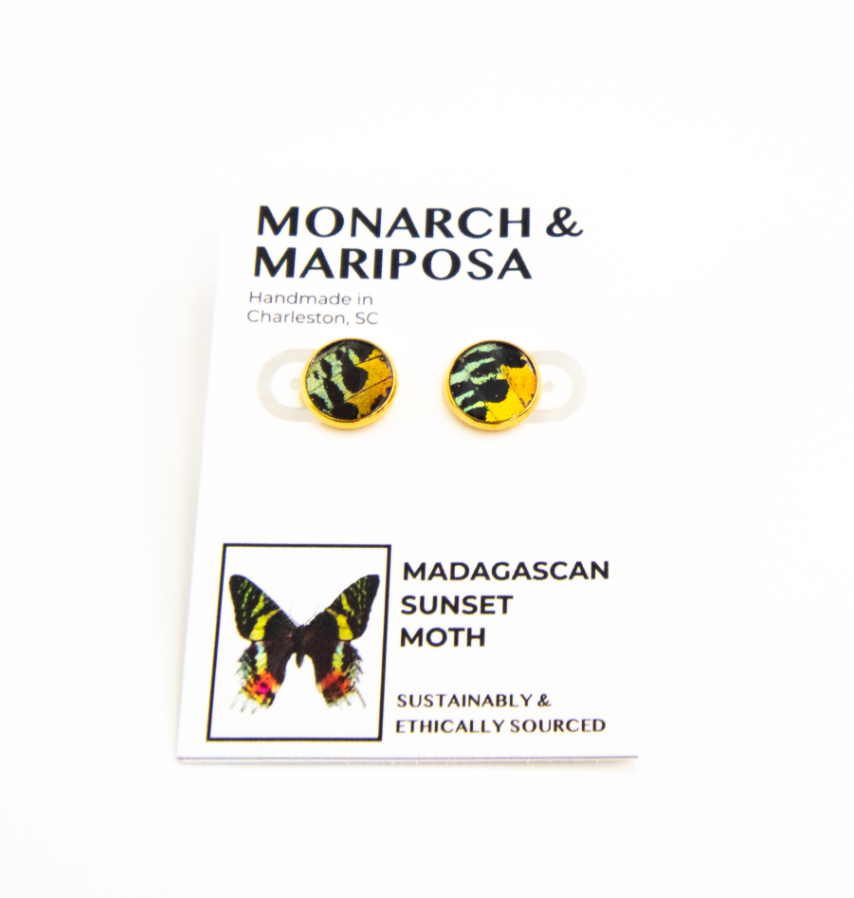 Butterfly Stud Earrings - Choose Your Style