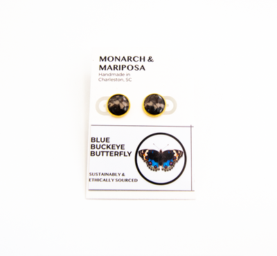 Butterfly Stud Earrings - Choose Your Style