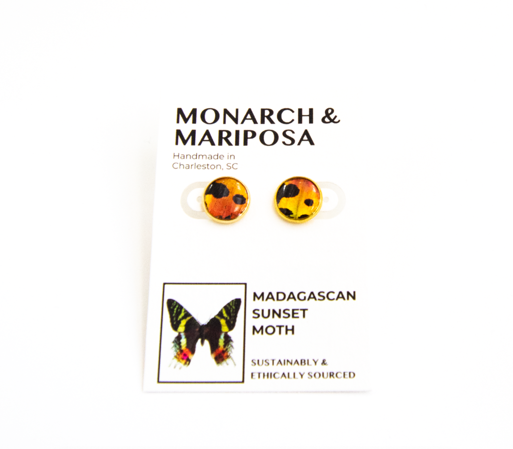 Butterfly Stud Earrings - Choose Your Style