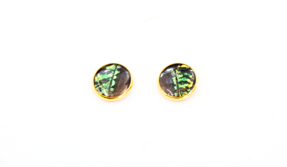 Butterfly Stud Earrings - Choose Your Style