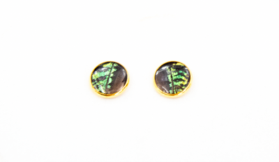 Butterfly Stud Earrings - Choose Your Style