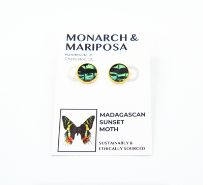 Butterfly Stud Earrings - Choose Your Style