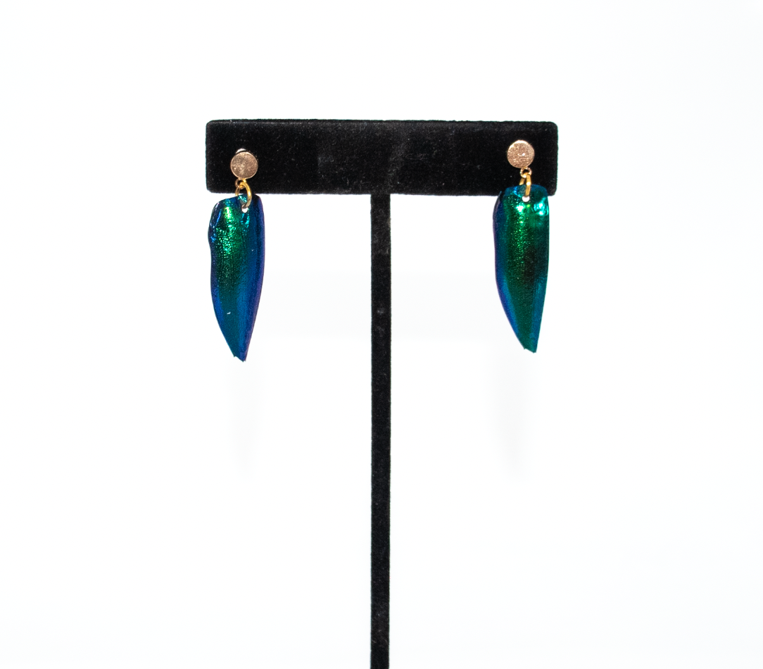 Beetle Single Wing Earring