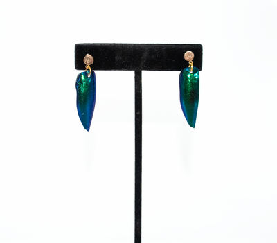 Beetle Single Wing Earring