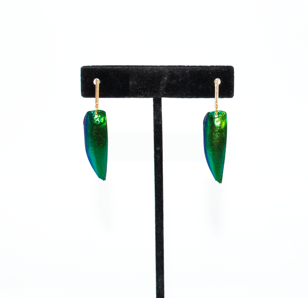 Beetle Single Wing Earring