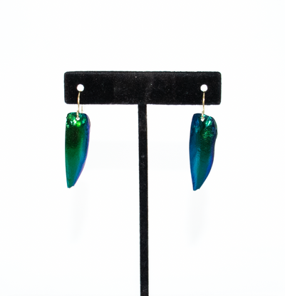 Beetle Single Wing Earring