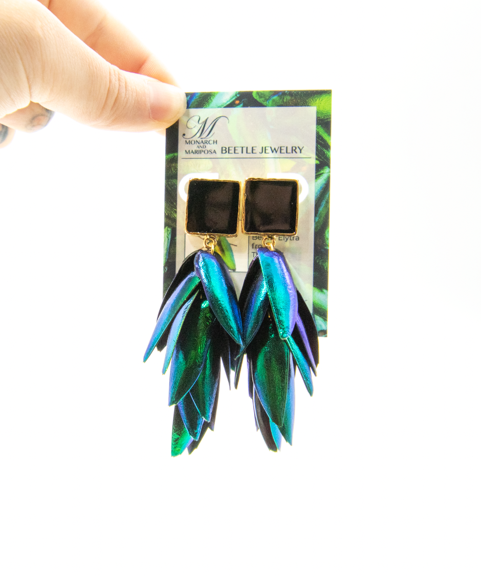 Full Wing Beetle Earrings - Black Enamel Square Top