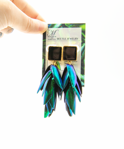 Full Wing Beetle Earrings - Black Enamel Square Top