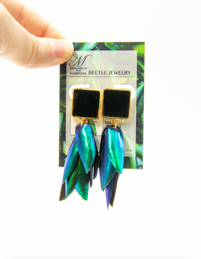 Full Wing Beetle Earrings - Black Enamel Square Top