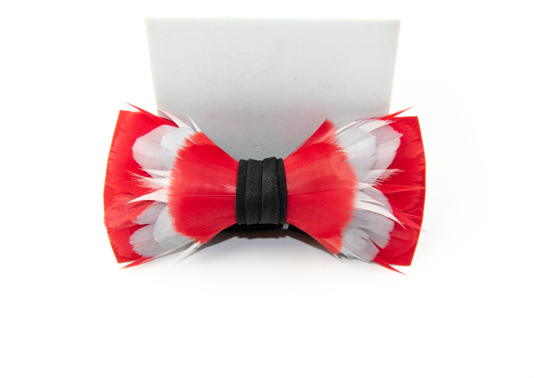 Feather Bow Tie - The Alumni - Choose Your Colors