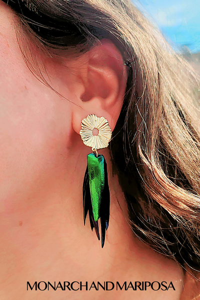 Full Wing Beetle Earrings - Circular Gold Top